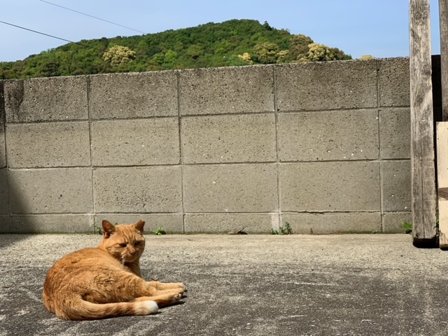 4月17日（水） 花光リフォームのブログ 写真3