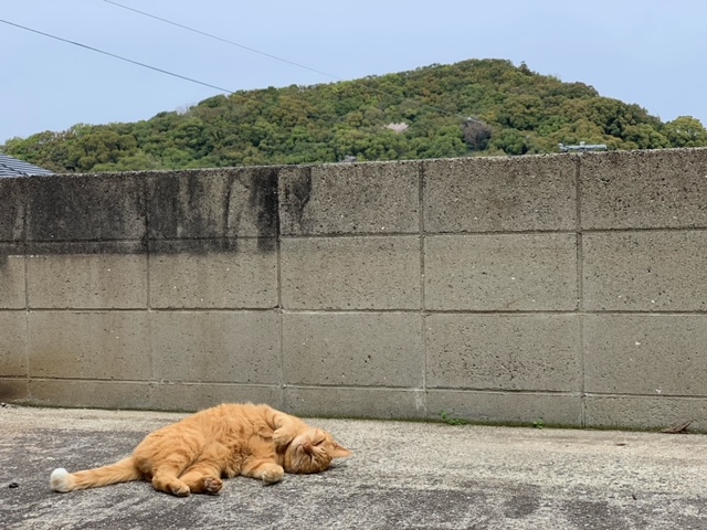 4月2日（火） 花光リフォームのブログ 写真3