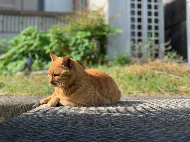 4月20日（土） 花光リフォームのブログ 写真1