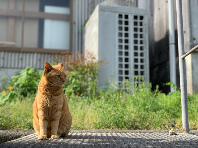 4月11日（木） 花光リフォームのブログ 写真2