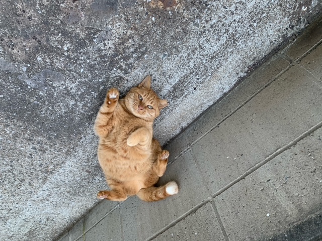 11月22日(水) 花光リフォームのブログ 写真2