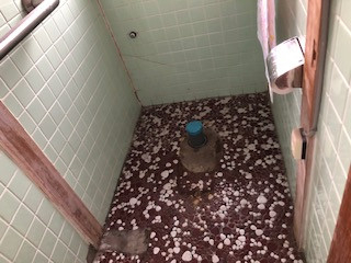 松本トーヨー住器の愛南町　トイレリフォームの施工前の写真2