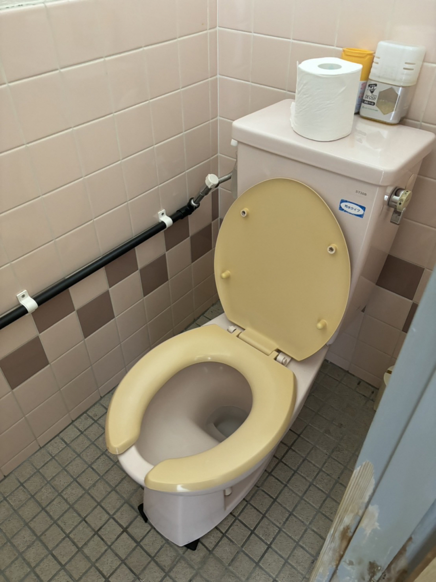 松本トーヨー住器の愛南町 トイレリフォームの施工前の写真1