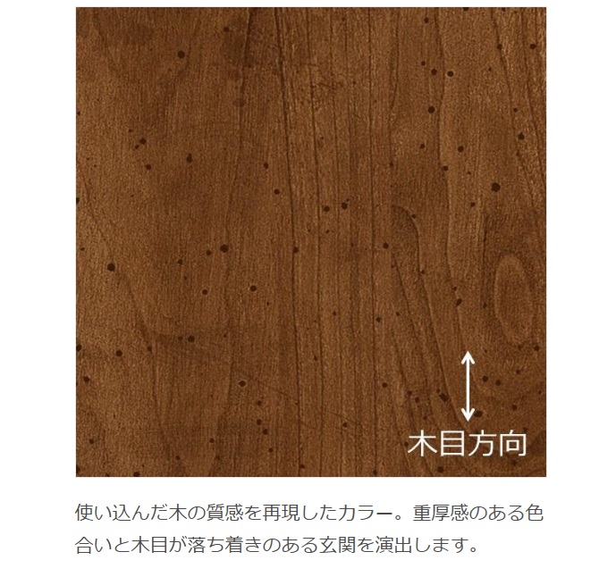 MADOORの【渋谷区】防火戸補助金対象デザイン🚪(玄関ドアリシェント)の施工事例詳細写真2