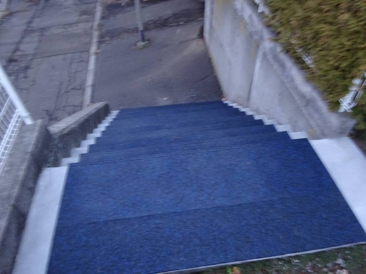 北硝トーヨー住器の玄関前階段　ゴムチップマット取付の施工後の写真2