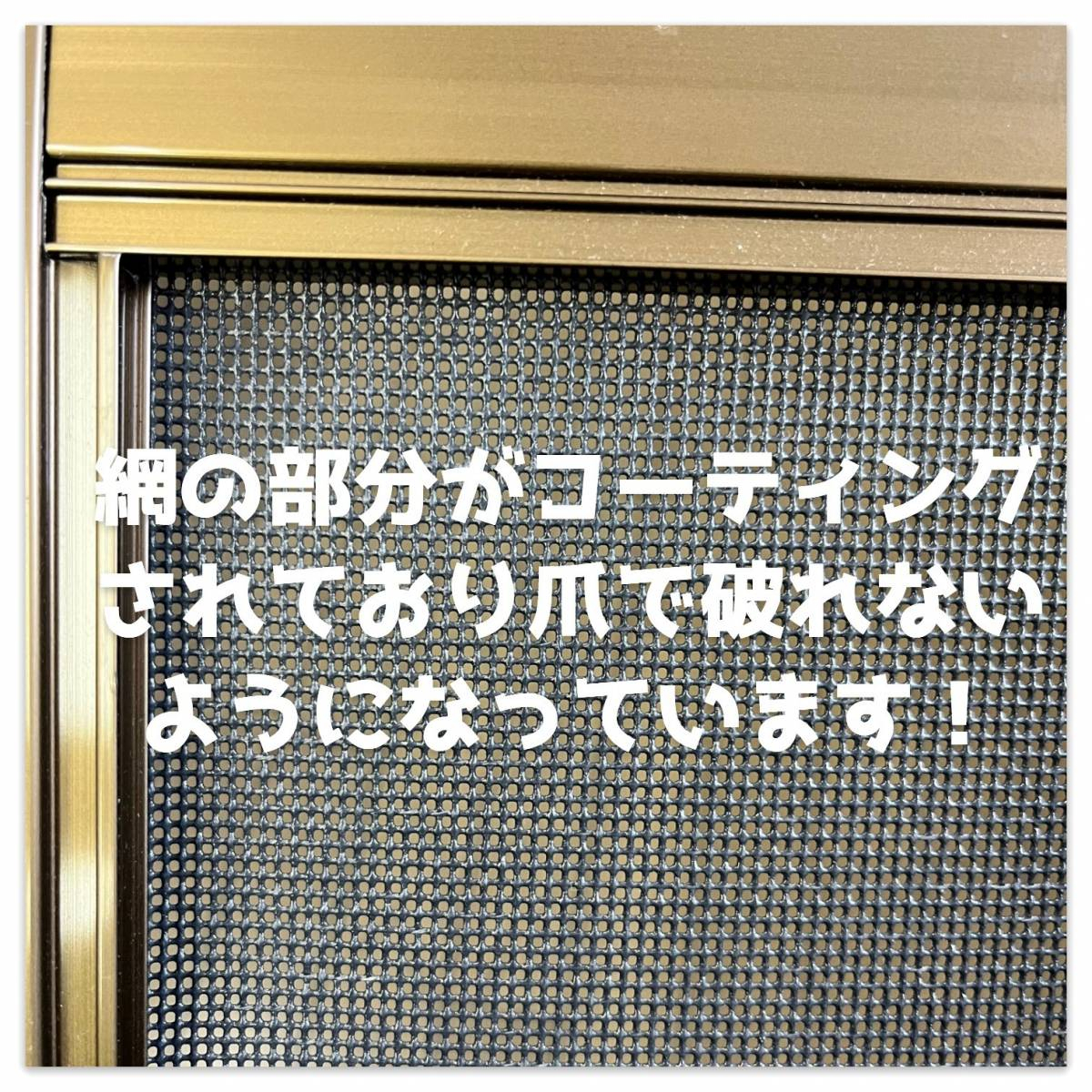 湖西トーヨー住器のペットの爪でも破れない網戸、ペットディフェンス♪の施工後の写真2