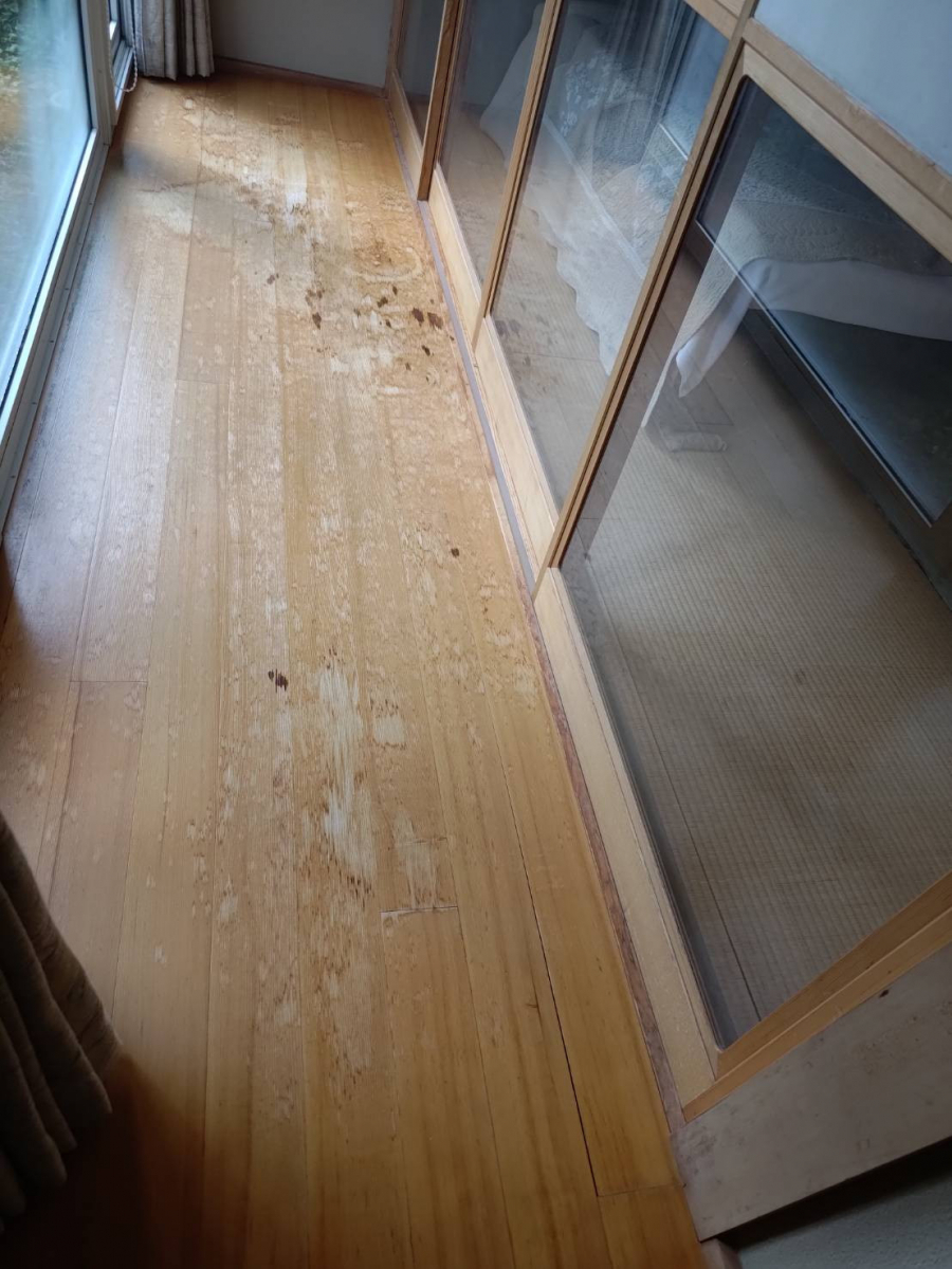 八戸トーヨー住器の八戸市！✨これぞリフォームならでは！✨日焼けの床を手軽に解決、そして気づいた玄関ホールの不安とは？の施工前の写真2