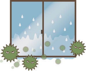 【窓と健康⑤】カビやアレルギーの原因！窓の結露を防ぐ５つのポイント！ 粕谷のブログ 写真2