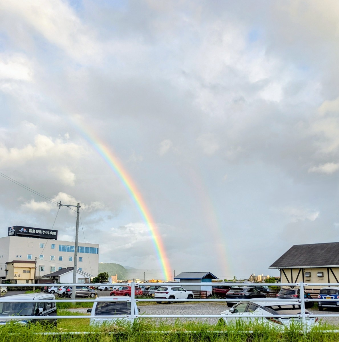 自然がくれたサプライズギフト。 米田トーヨー住器のブログ 写真1
