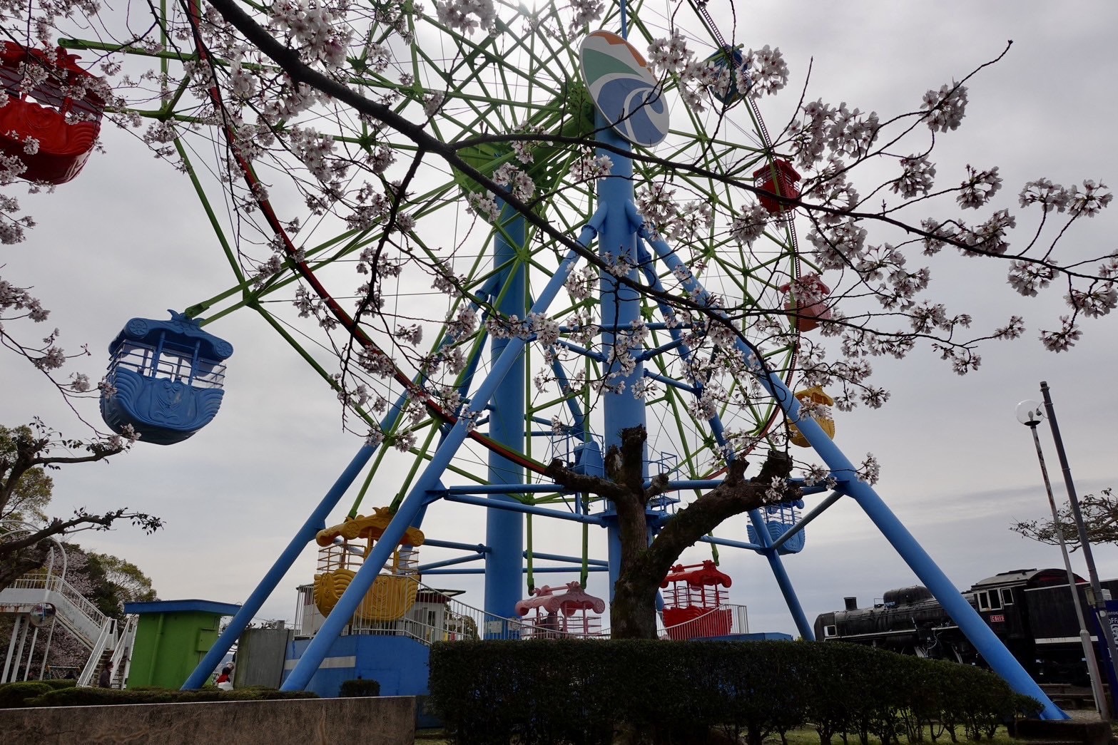 お花見🌸🌸🌸 米田トーヨー住器のブログ 写真1