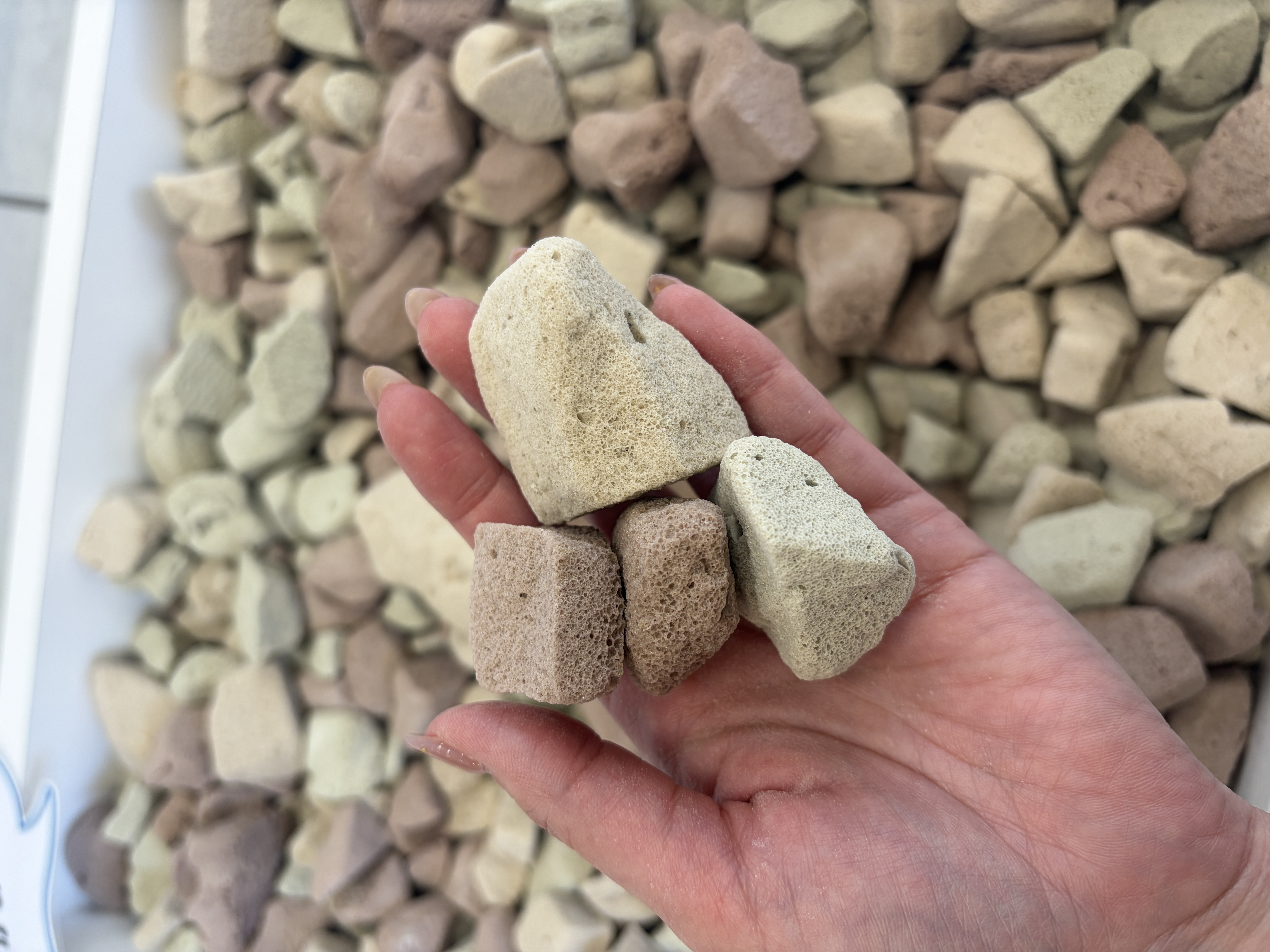 ＼ 📹防犯特設コーナーOPENしました！ 📹／ 小島サッシトーヨー住器のブログ 写真2