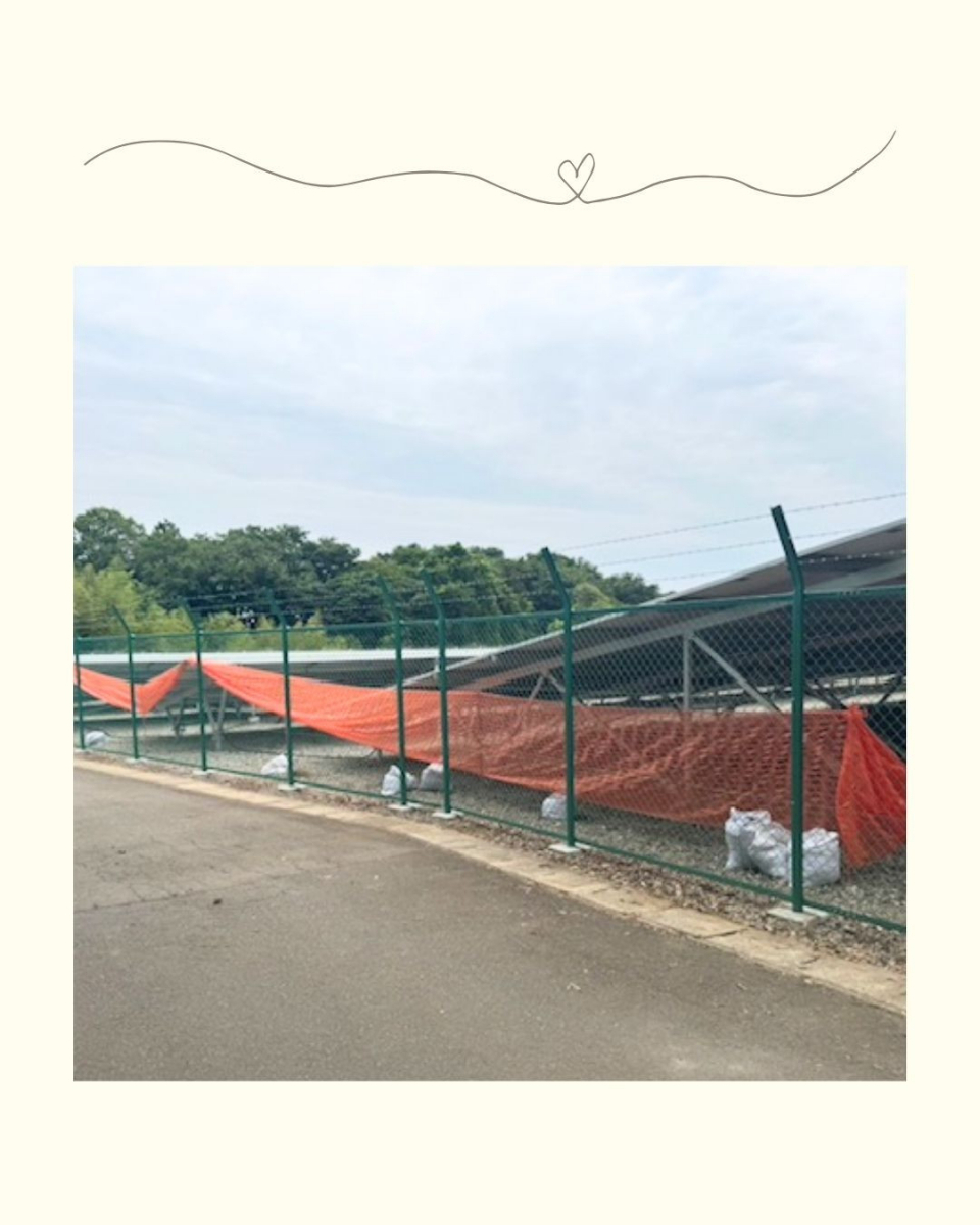 小島サッシトーヨー住器の防犯フェンスのリニューアル施工🔐の施工後の写真1