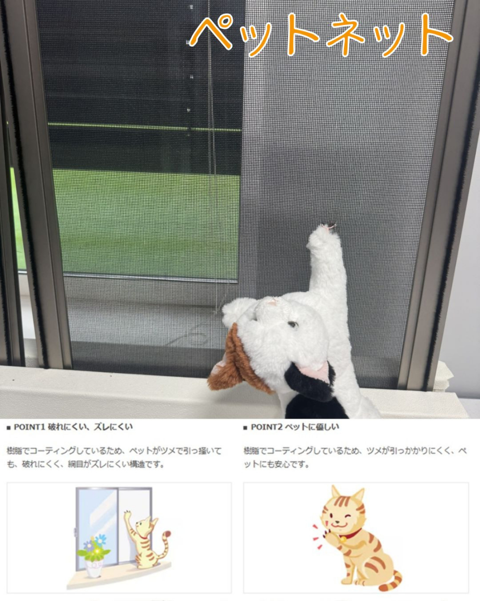 小島サッシトーヨー住器の＼🌟リフォーム網戸のご紹介🌟／の施工後の写真2