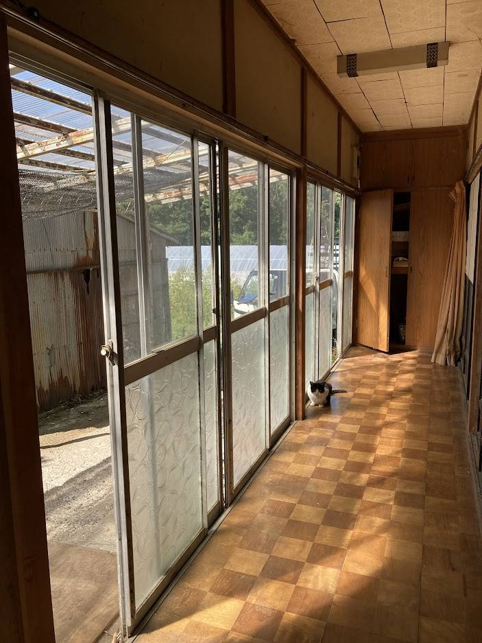 NCCトーヨー住器 諏訪店の猫ちゃんも大満足な内窓工事をしました！の施工前の写真1