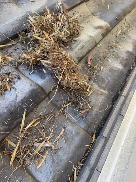 窓屋 茂原店の動きの悪い雨戸の交換の施工前の写真2