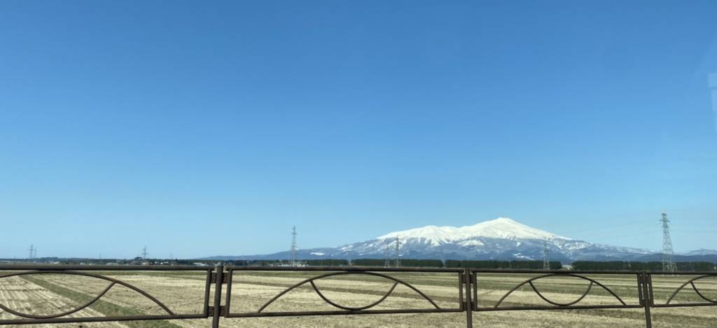 陽春の候 阿部多のブログ 写真1