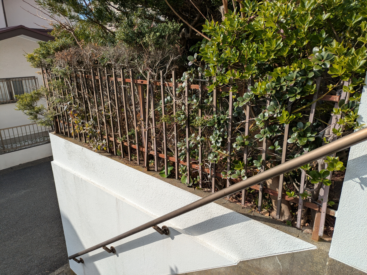 井上住器の逗子市【外構リフォーム工事】お家のリフォームに伴いお庭もキレイにリフォーム！の施工前の写真2