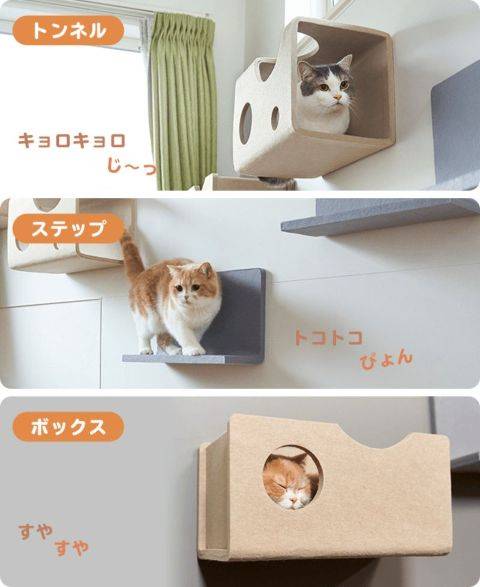 猫壁（にゃんぺき）って知ってますか？ ワタナベトーヨー住器のブログ 写真2