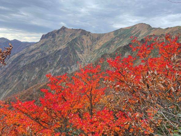 登山 つくば住生活 石岡店のブログ 写真1