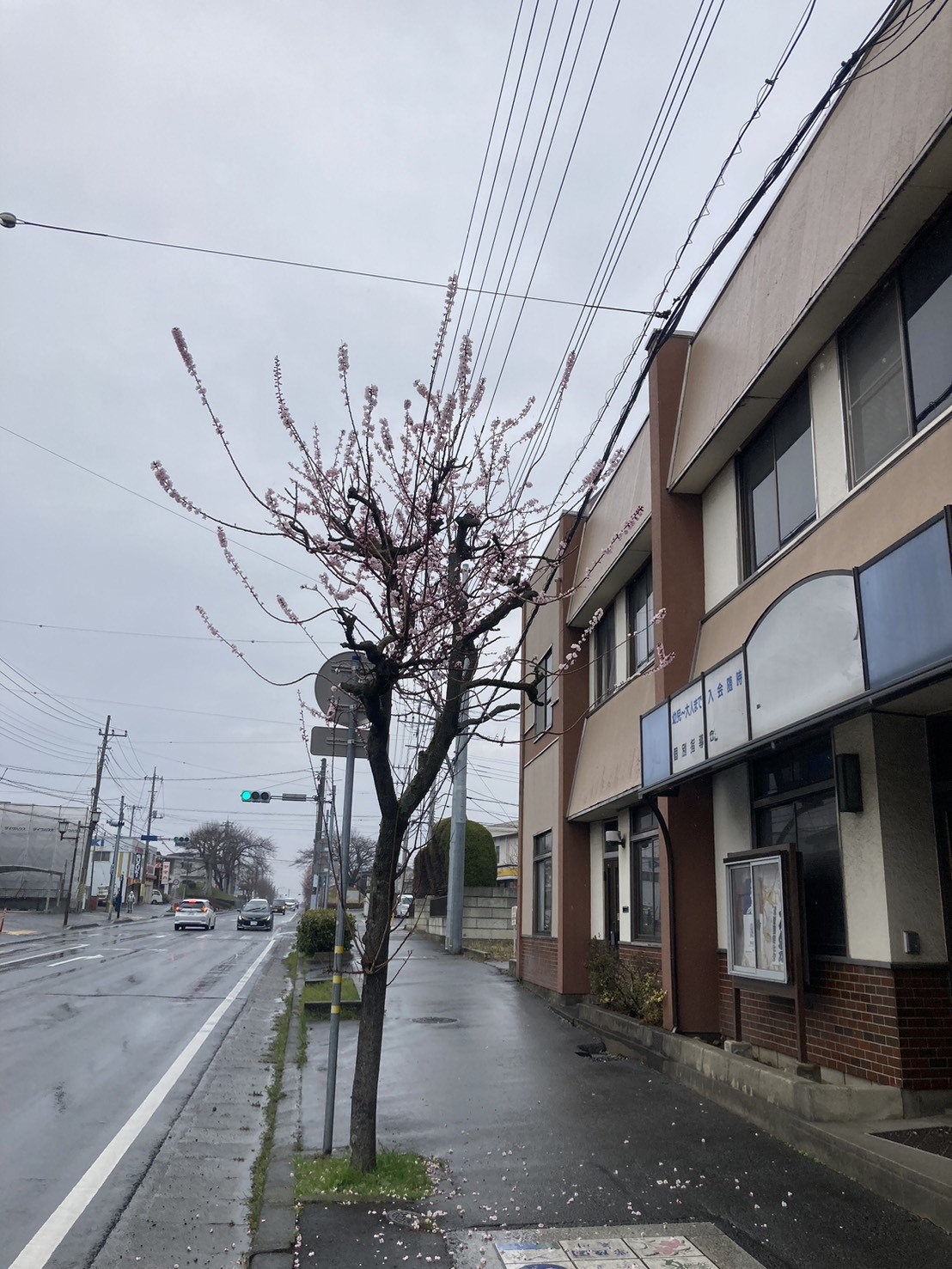 SAKURA つくば住生活 石岡店のブログ 写真1