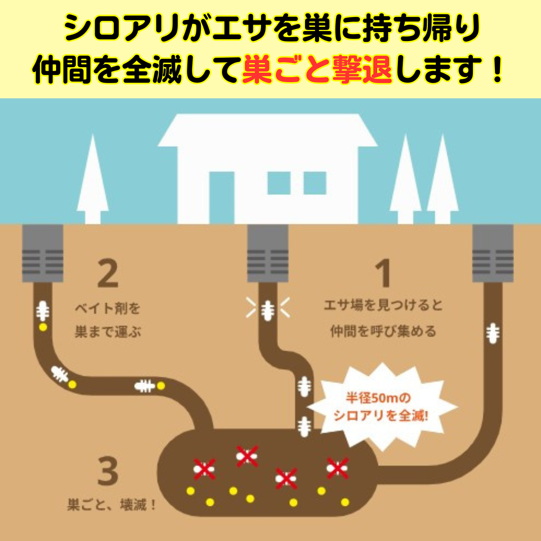 さよならシロアリ！「じゃあな！シロアリくん」で家を守るカンタン対策 日向トーヨー住器のブログ 写真7