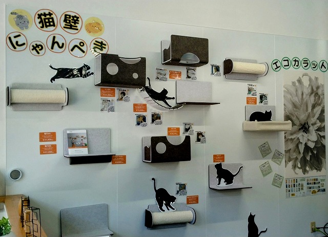🌺en6月掲載🌺ひなたサンデー&おすすめ商品🌺 日向トーヨー住器のイベントキャンペーン 写真4