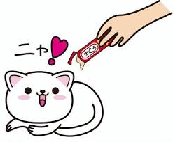 4/26(土)ショールーム改装プレオープン★猫壁「にゃんぺき」体験イベント★ 日向トーヨー住器のイベントキャンペーン 写真2