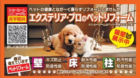 🌺en6月掲載🌺ひなたサンデー&おすすめ商品🌺 日向トーヨー住器のイベントキャンペーン 写真3