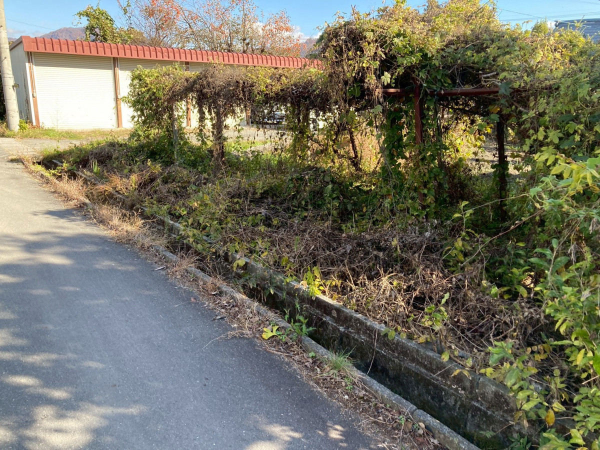 ネットアスの【安曇野市】ぶどう棚などを伐採してブロックとフェンスを施工の施工前の写真1