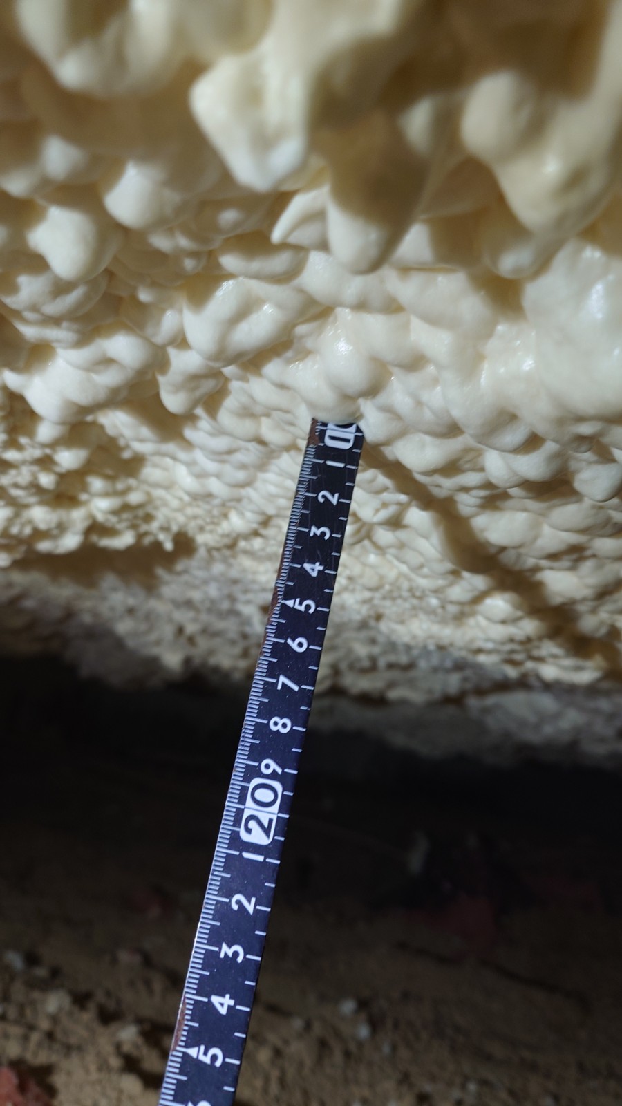 古石商店の床が冷たい！を解消！　まるごと断熱　ウレタン充填工事の現場をご紹介。目的は灯油代節約です。の施工事例詳細写真1