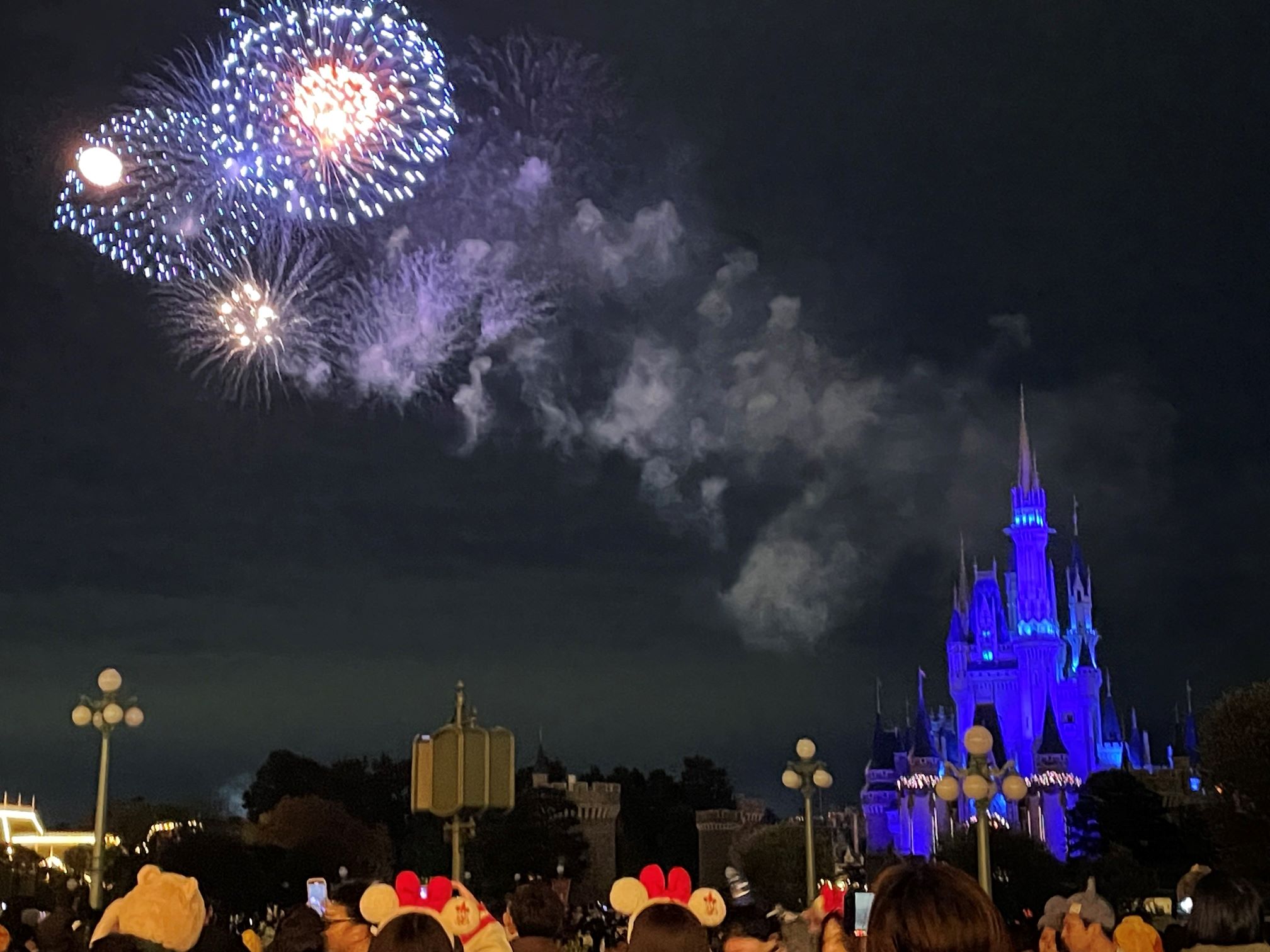 ディズニーランド つくば住生活 つくば店のブログ 写真2