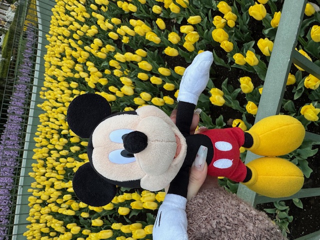 今日のブログは...長いです 三幸トーヨー住器のブログ 写真1