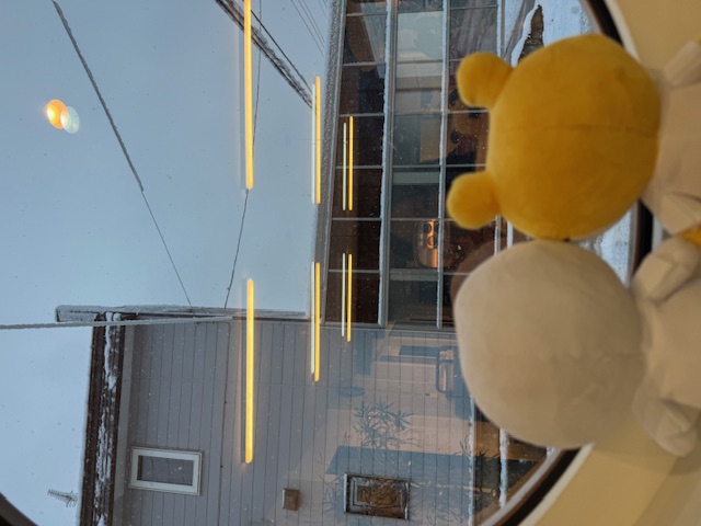 雪！雪！！雪！！！ 三幸トーヨー住器のブログ 写真2