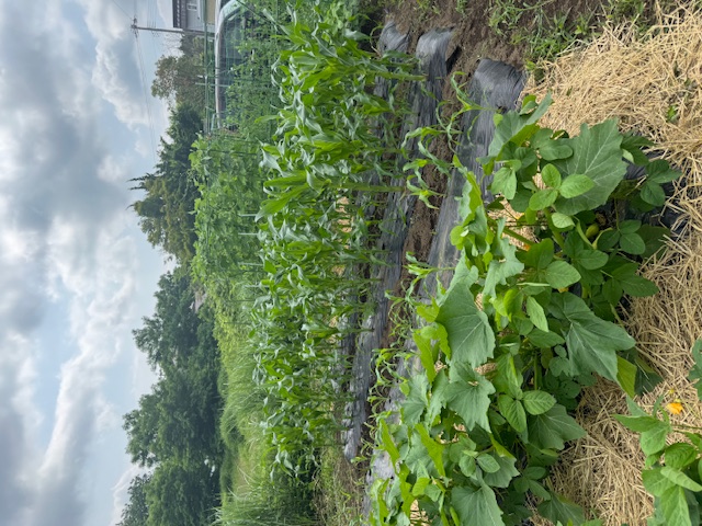 社長に連れられて... 三幸トーヨー住器のブログ 写真1