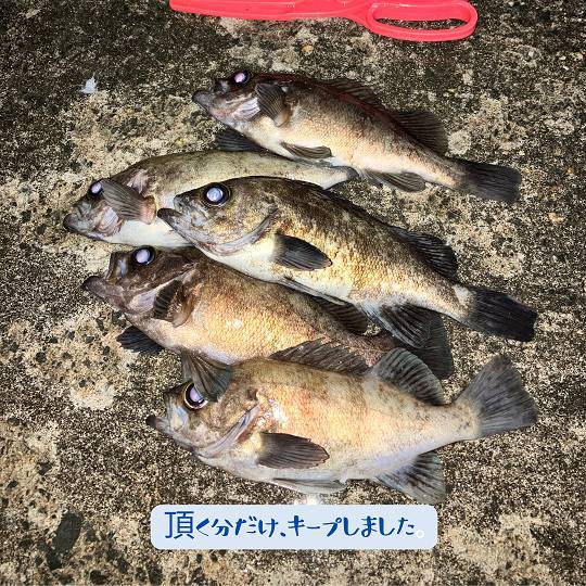 【店長趣味　釣りブログ】 AOBT 浪岡インター店のブログ 写真2