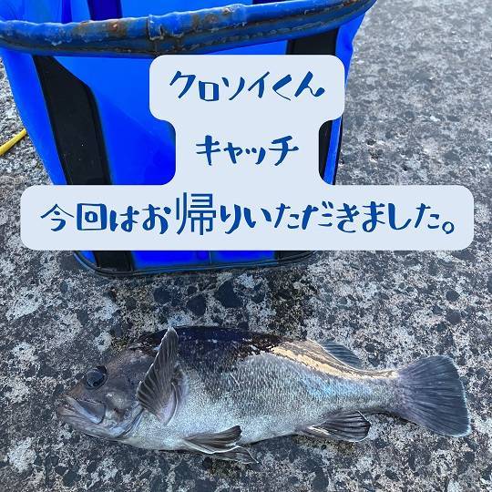 【店長趣味　釣りブログ】 AOBT 浪岡インター店のブログ 写真1