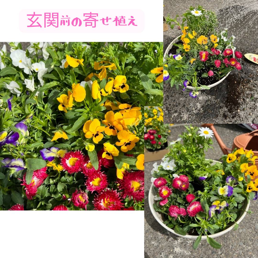 お花🌺 AOBT 浪岡インター店のブログ 写真4