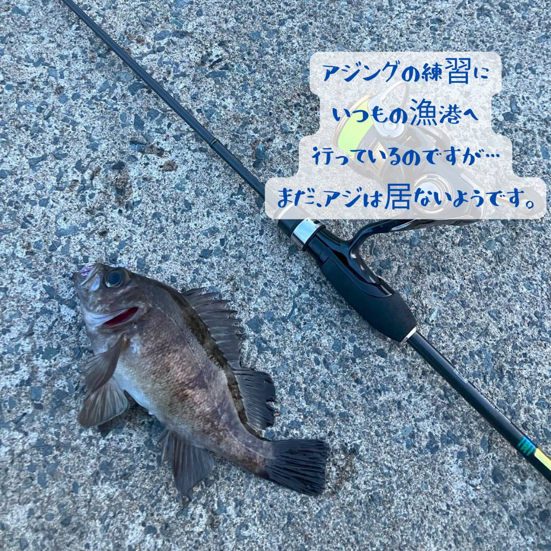 【店長趣味　釣りブログ】釣り部自主練習 AOBT 浪岡インター店のブログ 写真1
