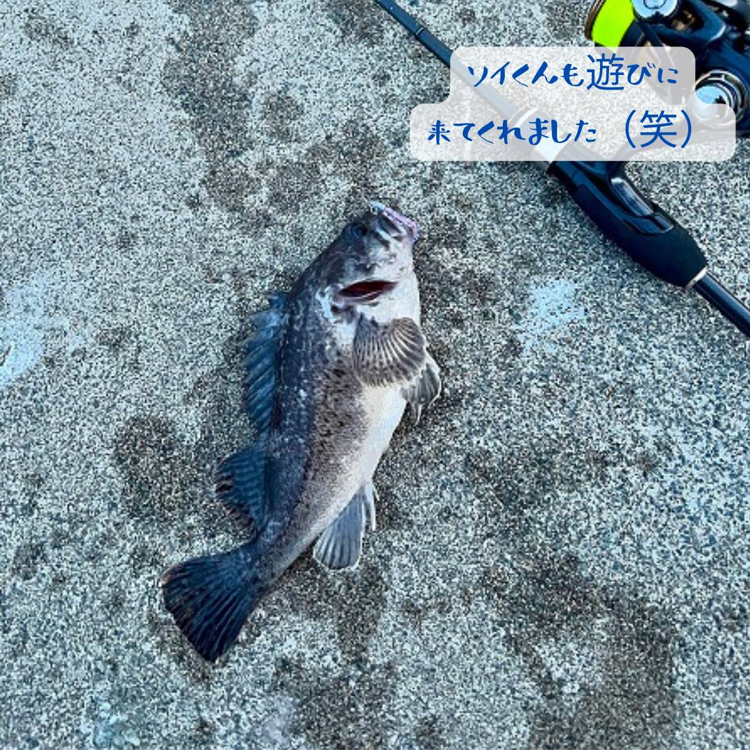 【店長趣味　釣りブログ】釣り部自主練習 AOBT 浪岡インター店のブログ 写真3