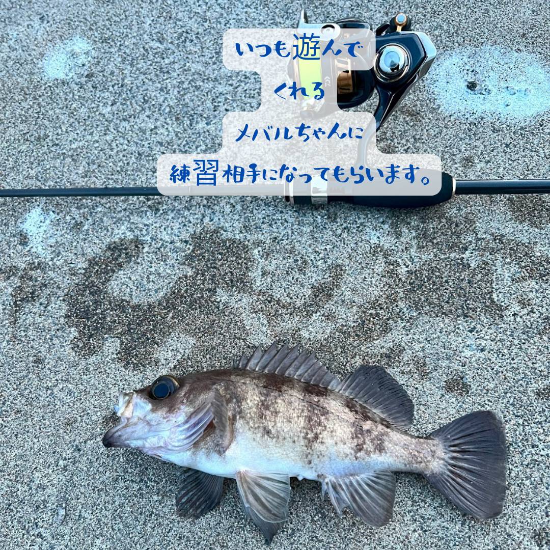 【店長趣味　釣りブログ】釣り部自主練習 AOBT 浪岡インター店のブログ 写真2
