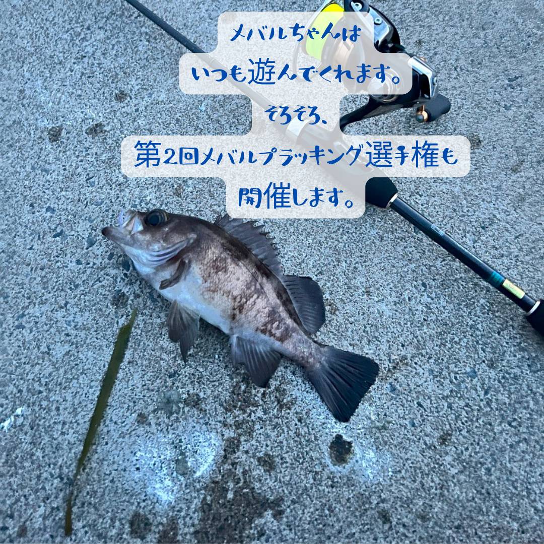 【店長趣味　釣りブログ】釣り部自主練習 AOBT 浪岡インター店のブログ 写真4