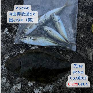 【店長趣味　釣りブログ】 AOBT 浪岡インター店のブログ 写真2