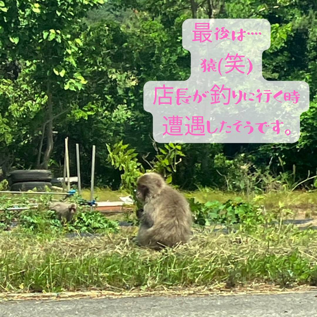 夏のお花 AOBT 浪岡インター店のブログ 写真7