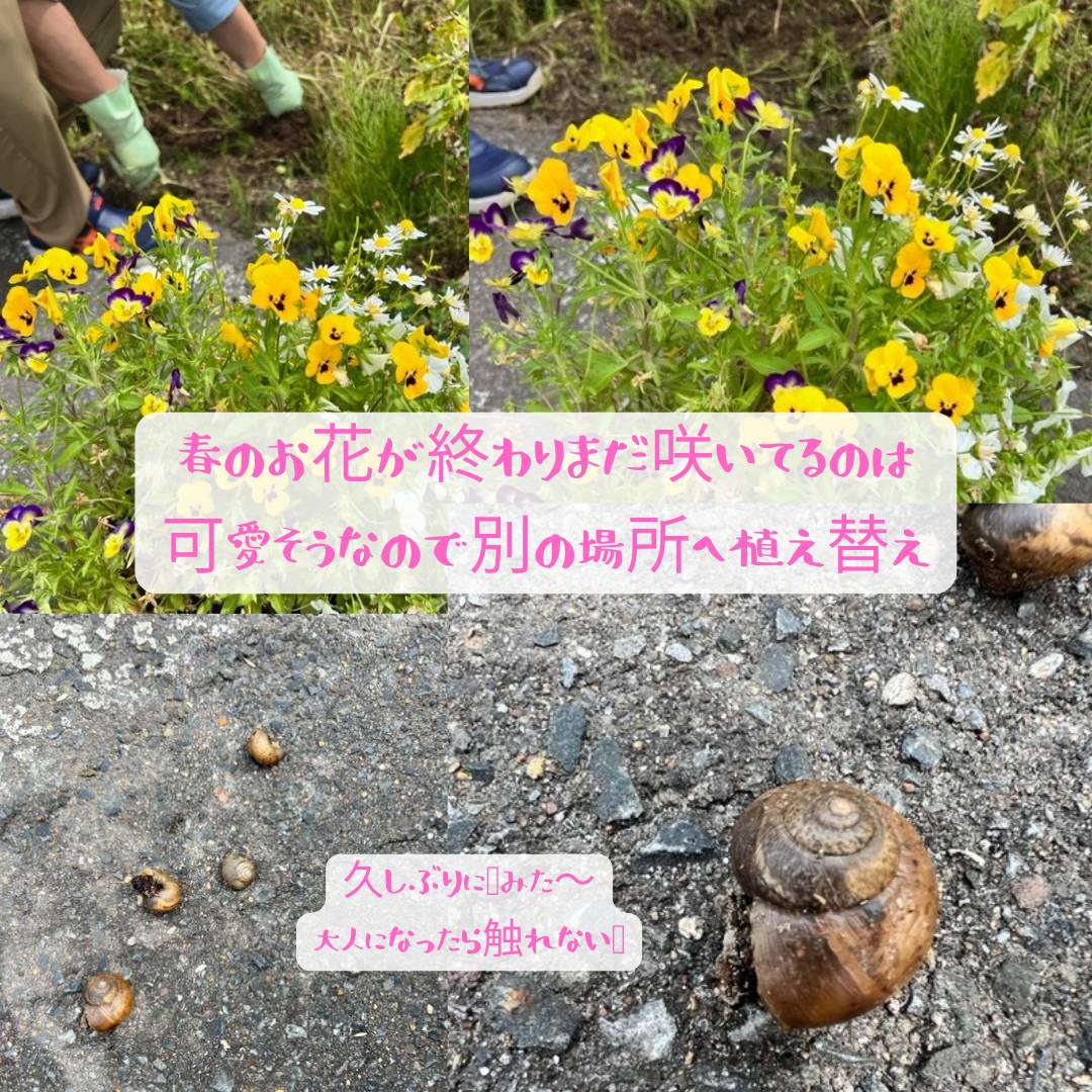 夏のお花 AOBT 浪岡インター店のブログ 写真2