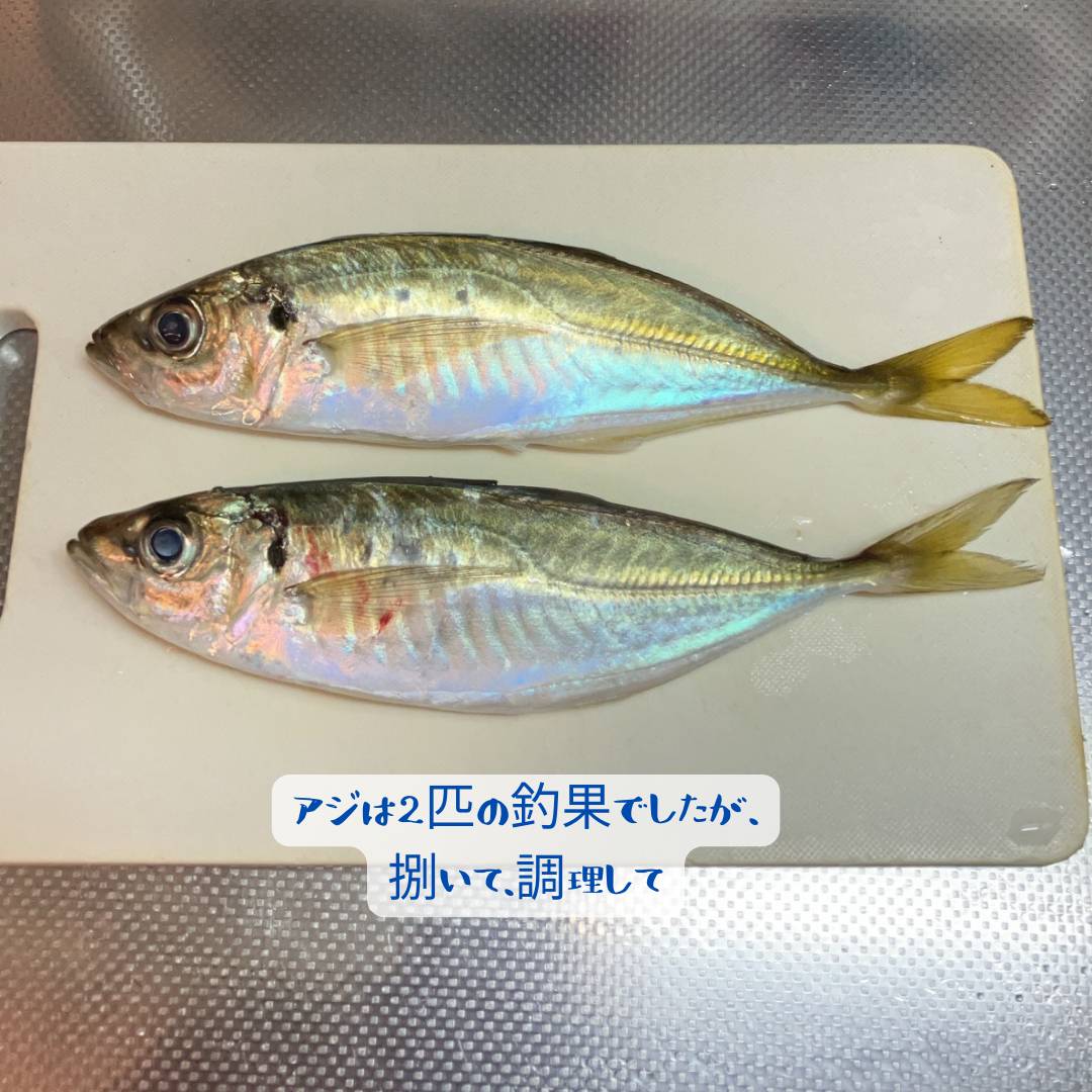 【店長趣味　釣り部自主練習】 AOBT 浪岡インター店のブログ 写真3