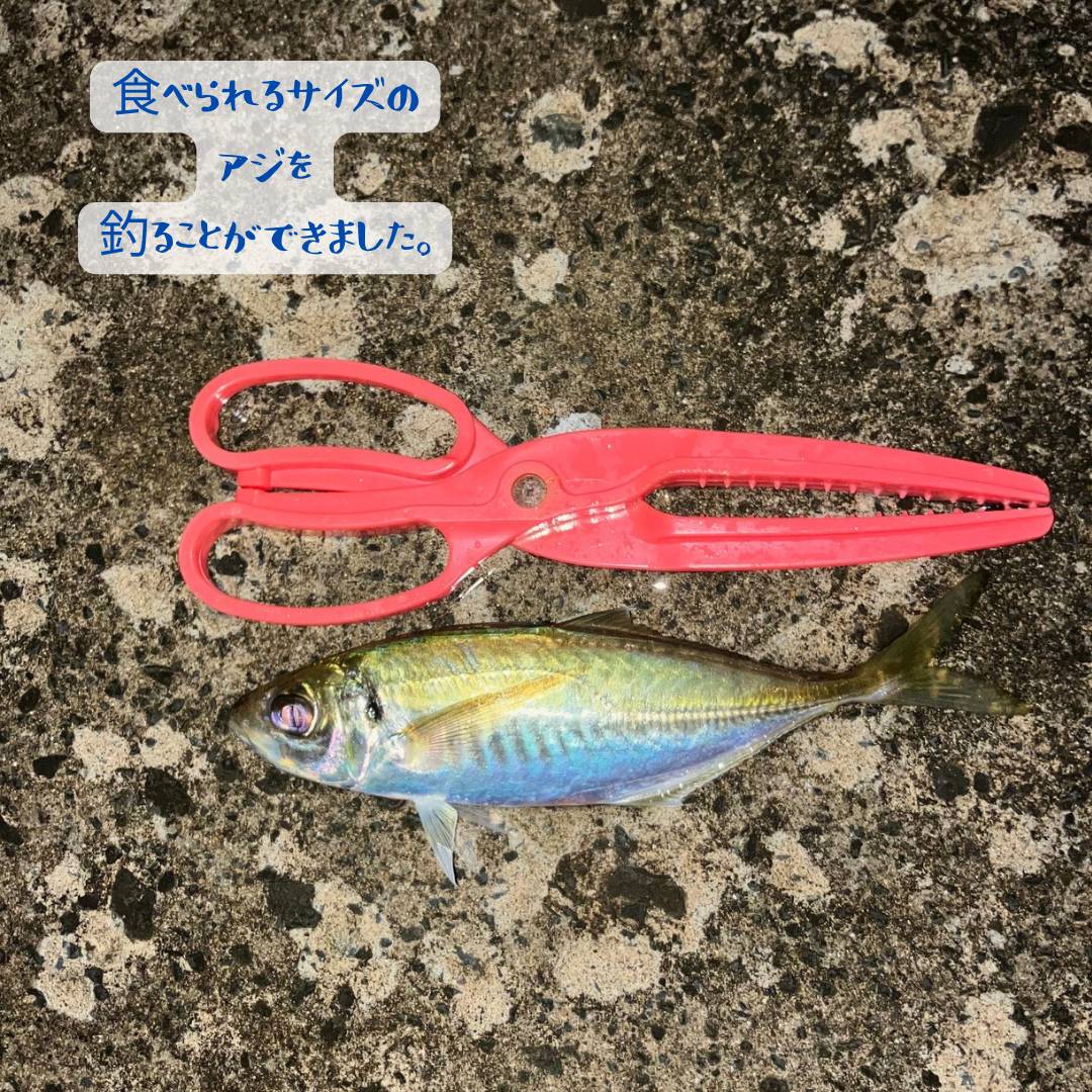 【店長趣味　釣り部自主練習】 AOBT 浪岡インター店のブログ 写真2
