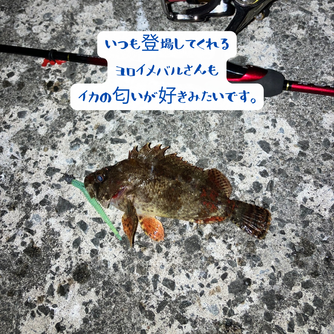 釣り部自主練習　 AOBT 浪岡インター店のブログ 写真3