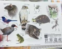切手 AOBT 浪岡インター店のブログ 写真5