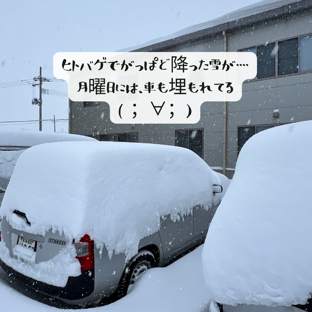 会社からの風景 AOBT 浪岡インター店のブログ 写真2