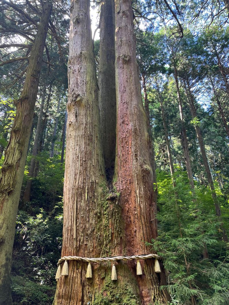 御岩神社 カワサキトーヨー住器 那須那珂川のブログ 写真2